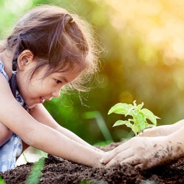 Dia Mundial da Terra é comemorado com oficinas de Educação Ambiental