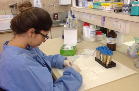 Maior controle da doença na Serra: Novo teste para detecção da esquistossomose pode fazer a diferença