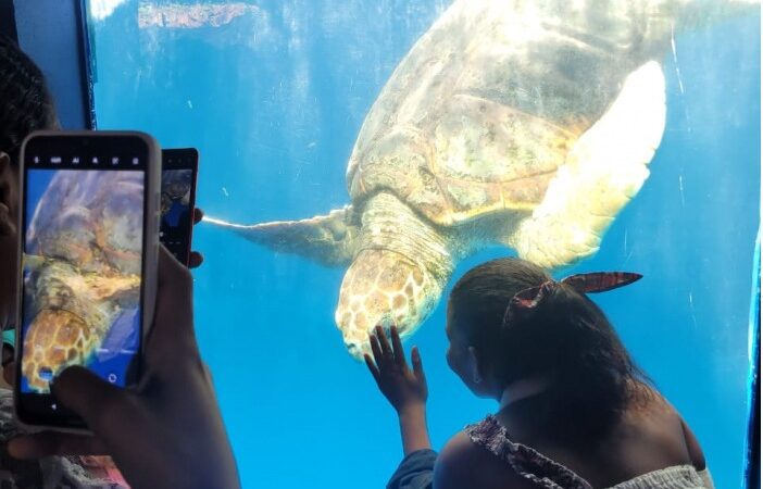 Lazer: Famílias atendidas no Cras Consolação desfrutam de visita ao Projeto Tamar