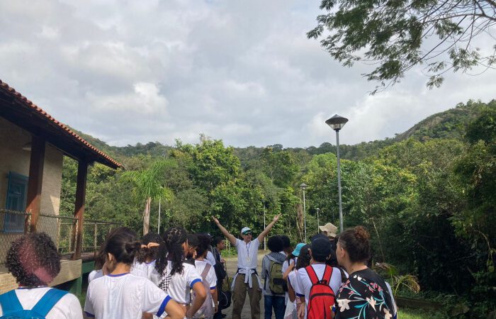 Educação Ambiental: Trilhas Levam Estudantes a Conhecer a Mata Atlântica.