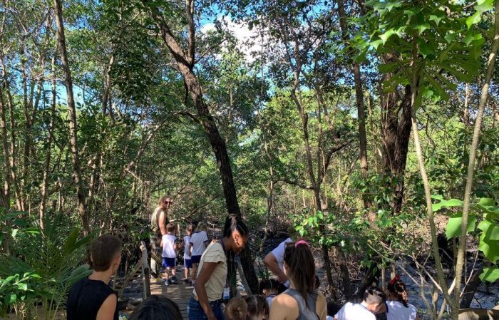 Educação Ambiental: Crianças se Envolvem na Preservação do Manguezal e no Descarte Responsável.