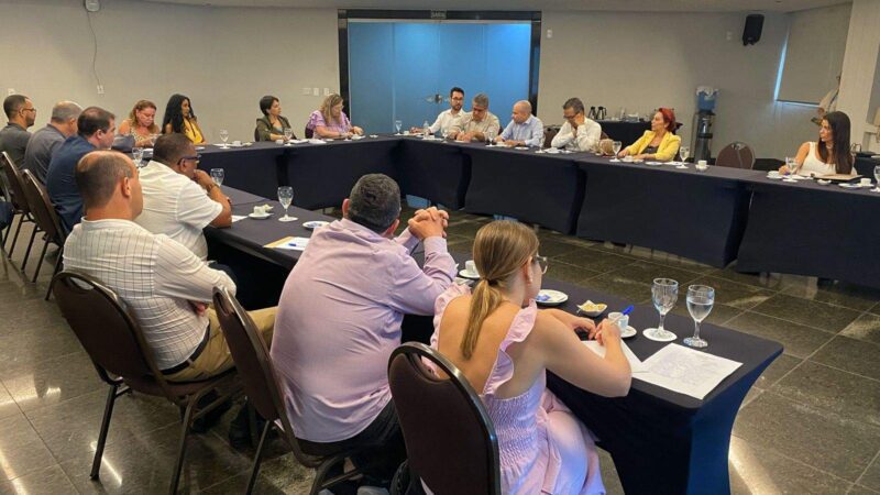 Iniciativa Inovadora: Grupo Discute Medidas para Tornar o ES Referência em Saúde