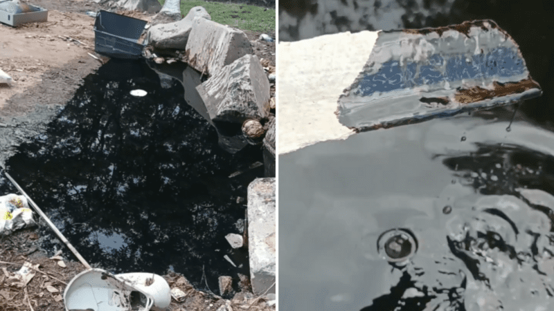 Prefeitura de Vitória Investiga Descarte Irregular de Óleo em Manguezal