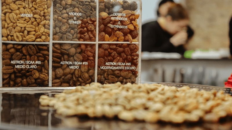 Sabor Local: Feira ES+Café Leva Visitantes a uma Viagem Sensorial pela Cafeicultura Capixaba