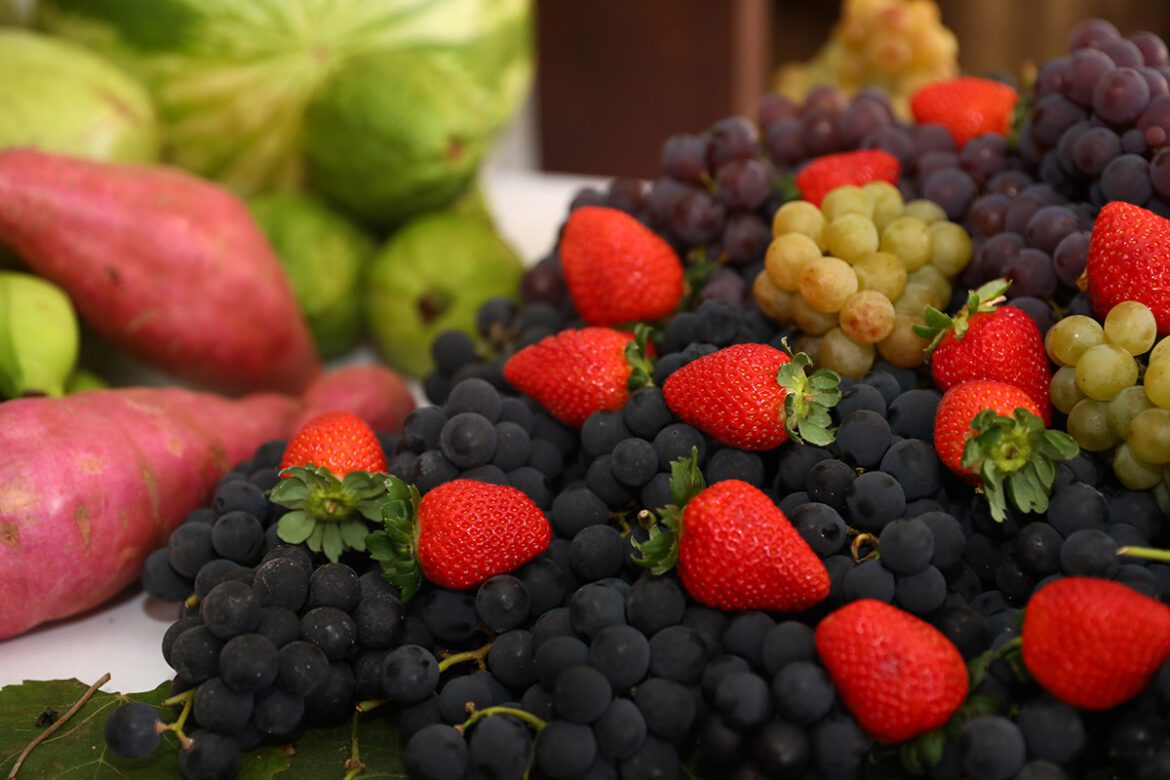 Nova fase dos Arranjos Produtivos traz mais apoio para agricultores familiares