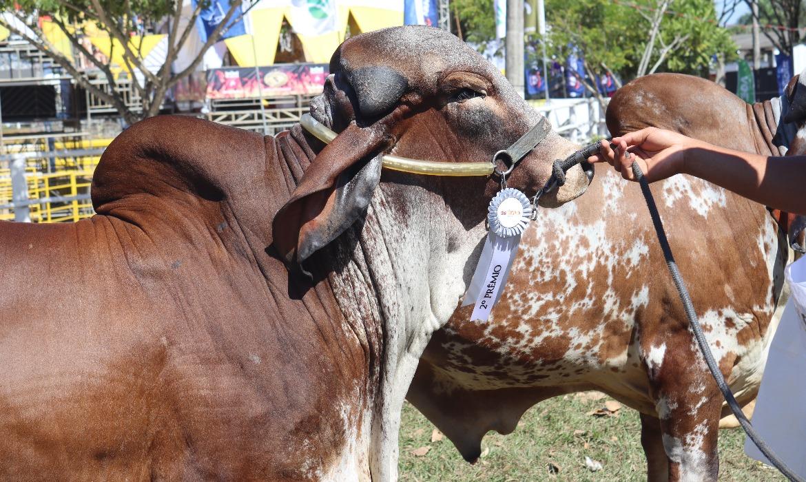 26ª Expo Aracruz movimenta milhões e consolida município como referência agropecuária no Espírito Santo