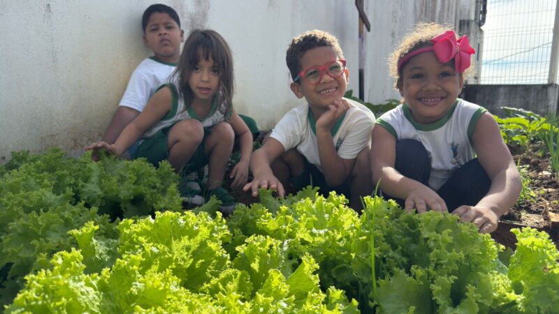 Crianças de CMEI em Cariacica cultivam hábitos saudáveis com horta escolar