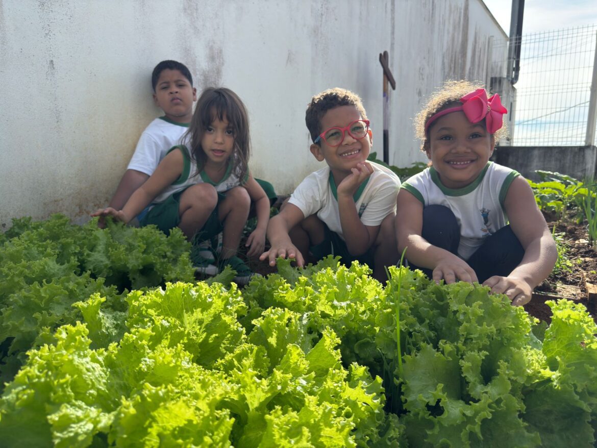 Crianças de CMEI em Cariacica cultivam hábitos saudáveis com horta escolar