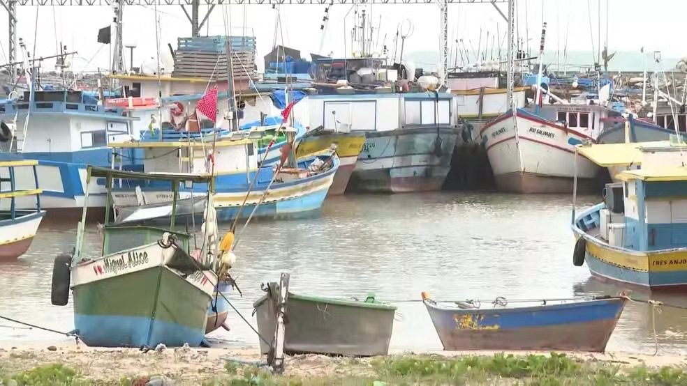 Ibama fecha terminal pesqueiro em Itapemirim e aplica R$ 22 milhões em multas por pesca irregular