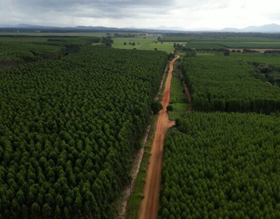 Governo do ES e Prefeitura assinarão Ordem de Serviço do edital para as obras de pavimentação asfáltica da ES 442