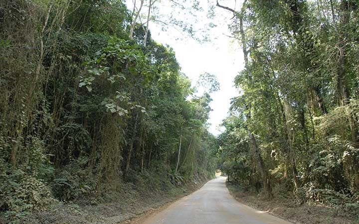SÉRIE: Descubra os Parques Estaduais do Espírito Santo – Parque Estadual de Mata das Flores