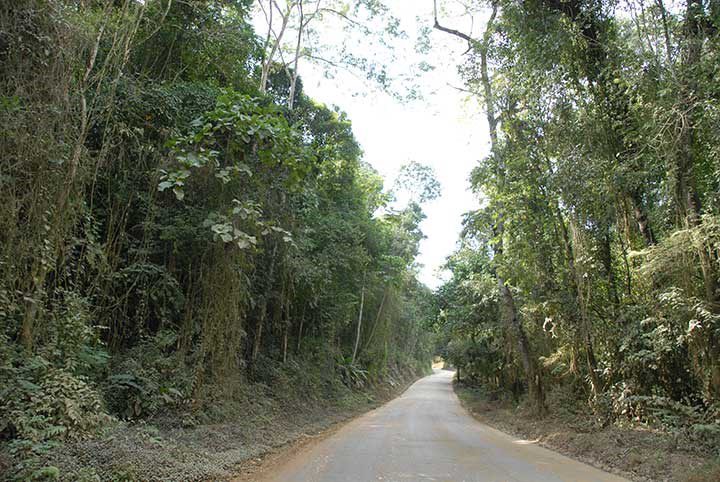 SÉRIE: Descubra os Parques Estaduais do Espírito Santo – Parque Estadual de Mata das Flores