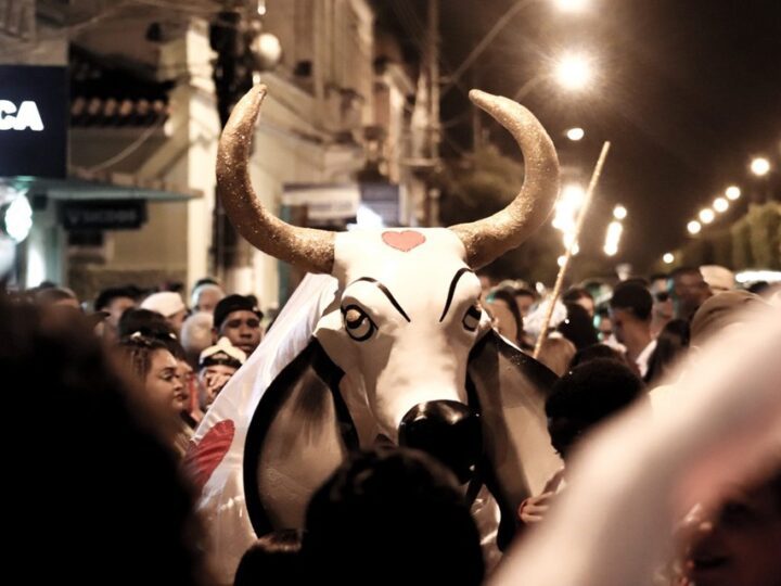 Carnaval do Boi Pintadinho transforma Muqui em vitrine da cultura capixaba