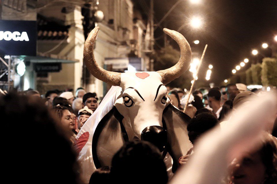 Carnaval do Boi Pintadinho transforma Muqui em vitrine da cultura capixaba