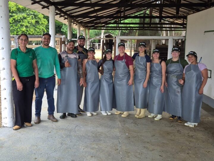 Pecuária capixaba ganha reforço com ampliação de cursos do Incaper