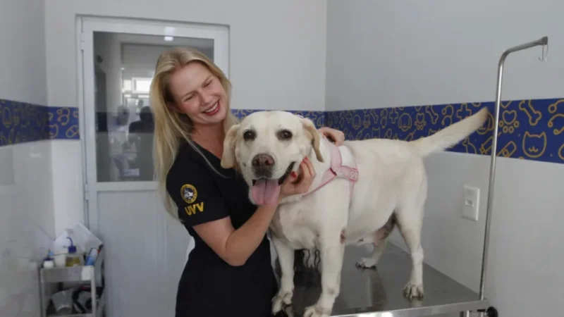 Faculdades oferecem atendimento veterinário para pets e ampliam vagas