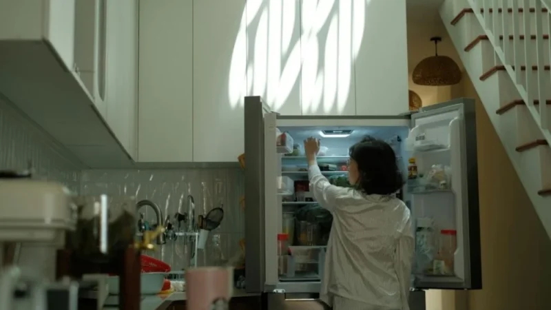 Uso incorreto da geladeira pode aumentar conta de luz em até 30%