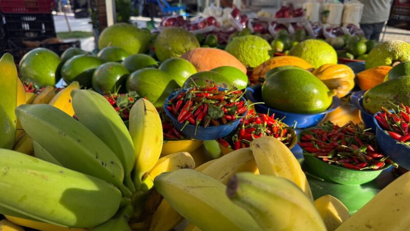 Vila Palestina recebe Feira de Agricultura Familiar nesta quinta-feira (30)