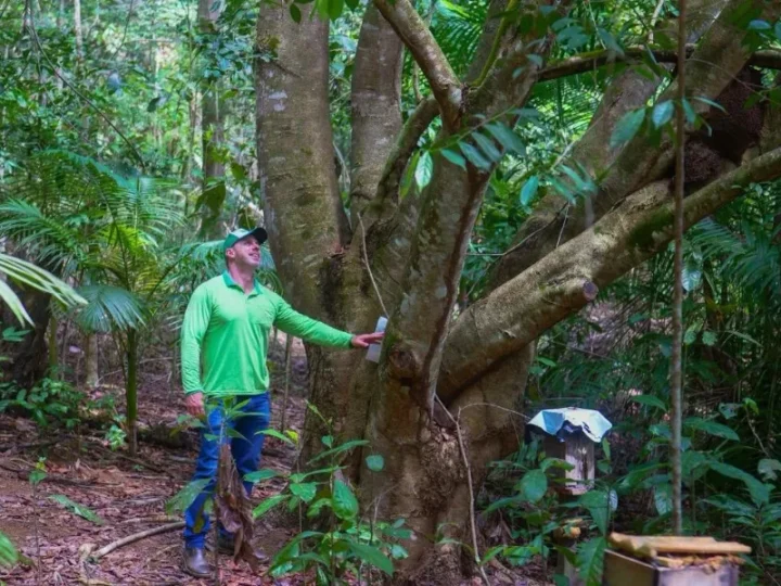 Agricultores poderão ser remunerados por preservação ambiental em sistema de crédito de carbono
