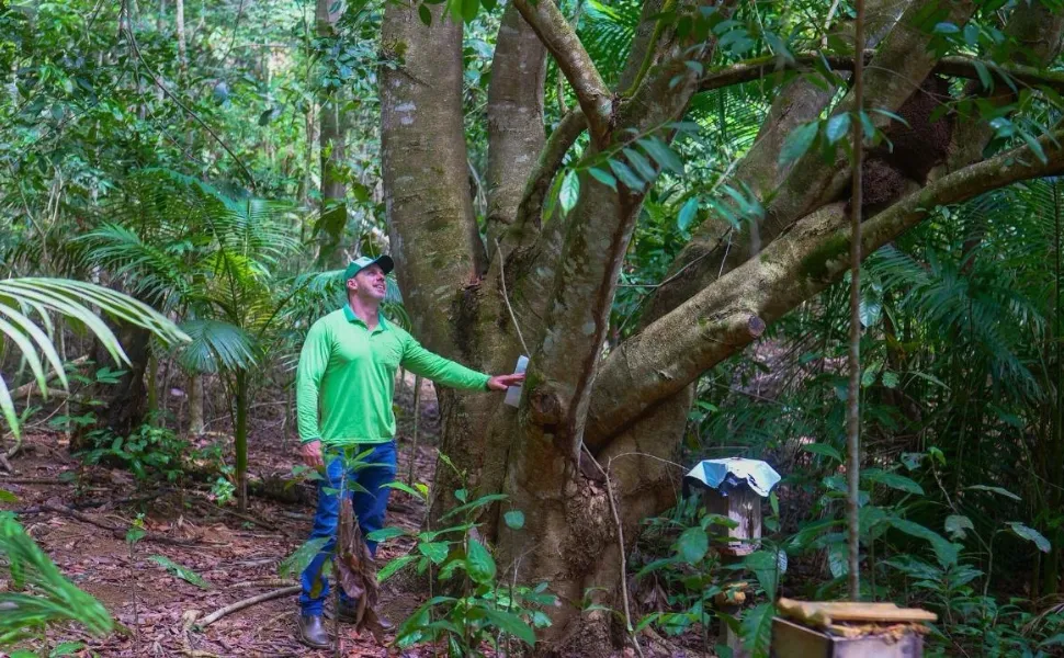 Agricultores poderão ser remunerados por preservação ambiental em sistema de crédito de carbono