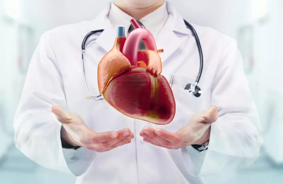 Muito além da gripe: especialista explica porque precisamos reforçar os cuidados com a saúde cardiovascular no inverno