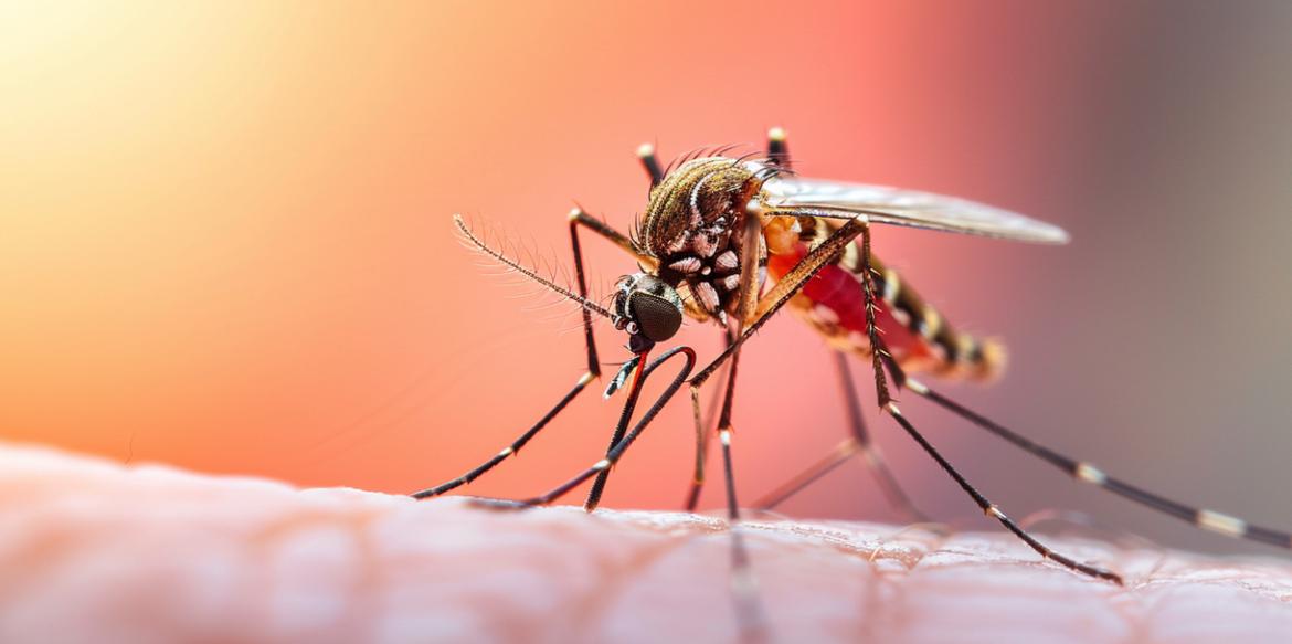 Cariacica reduz em quase 82% os casos de dengue no primeiro semestre de 2026