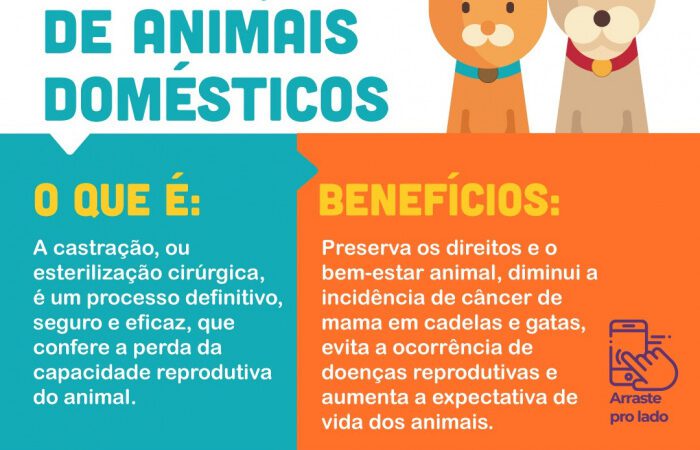 Vitória amplia programa de castração animal com liberação excepcional de mil vagas gratuitas