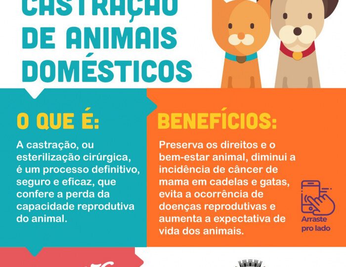 Vitória amplia programa de castração animal com liberação excepcional de mil vagas gratuitas