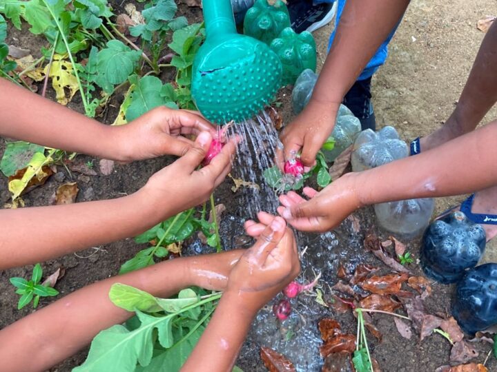 Projeto transforma horta em ferramenta terapêutica para crianças e adolescentes em Cariacica