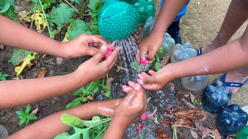 Projeto transforma horta em ferramenta terapêutica para crianças e adolescentes em Cariacica