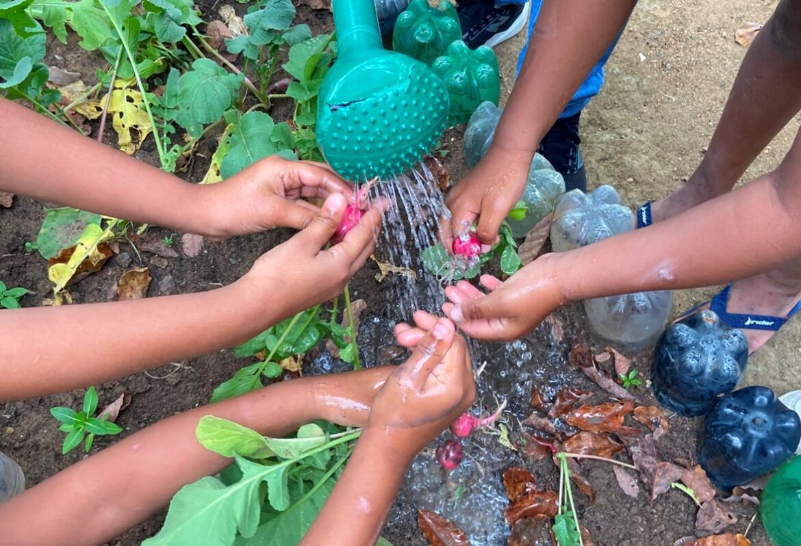 Projeto transforma horta em ferramenta terapêutica para crianças e adolescentes em Cariacica