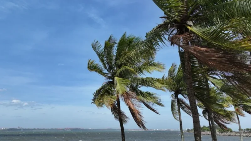 Espírito Santo entra em alerta para ventos fortes após vendaval atingir RJ e SP