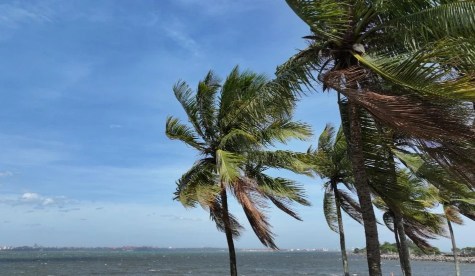 Espírito Santo entra em alerta para ventos fortes após vendaval atingir RJ e SP