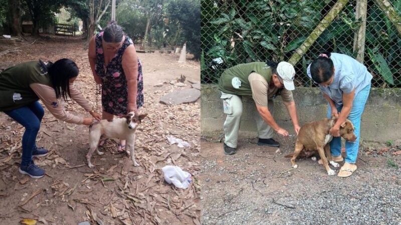 Vila Velha já vacinou mais de 3 mil cães e gatos contra a raiva