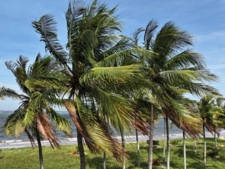 Defesa Civil alerta para ventos costeiros intensos no Espírito Santo neste domingo