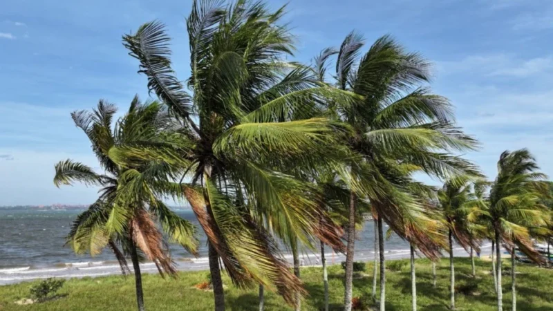 Defesa Civil alerta para ventos costeiros intensos no Espírito Santo neste domingo
