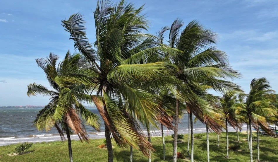 Defesa Civil alerta para ventos costeiros intensos no Espírito Santo neste domingo