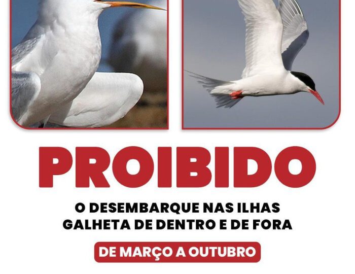 Vitória reforça restrição de acesso às Ilhas Galheta durante período de reprodução de aves