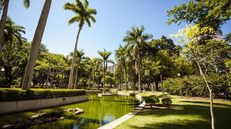 Parque Moscoso recebe ateliês de “livre expressão artística a serviço da saúde mental”