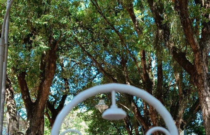 Inovação e tecnologia se unem para celebrar os 111 anos do Parque Moscoso