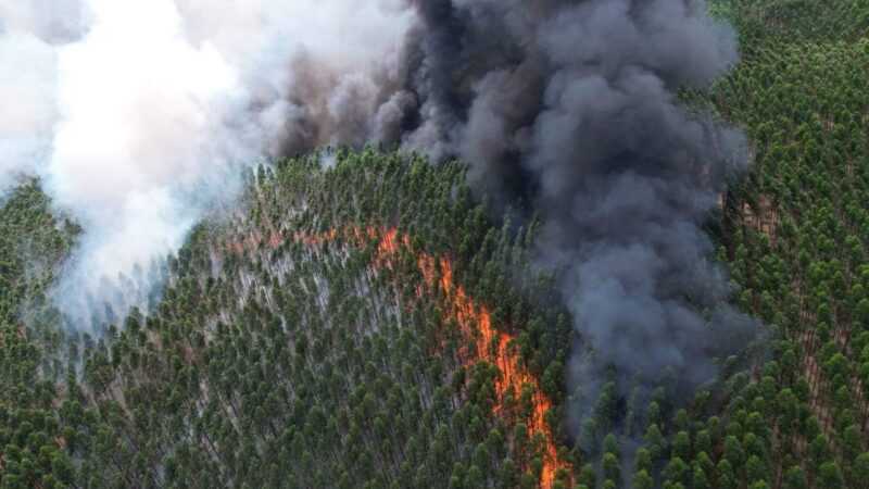 Alerta Ambiental: Incêndios no Norte do Estado Geram Insegurança e Prejuízo para Empresas e Produtores Rurais