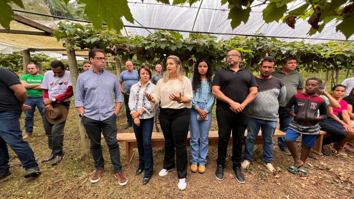 Desenvolvimento Rural: Primeiro Dia de Campo em Vargem Alta Destaca Arranjos Produtivos