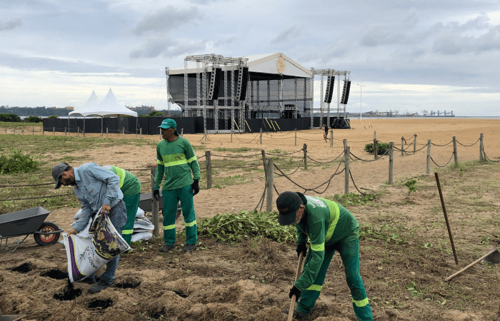 Recuperando a Natureza: Projeto de Restauração na Restinga da Praia de Camburi pelo Meio Ambiente