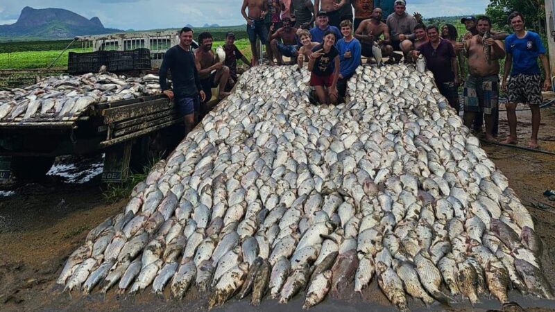 Atos de Solidariedade: Casal Doa 3 Toneladas de Peixes para Comunidade em Nova Venécia