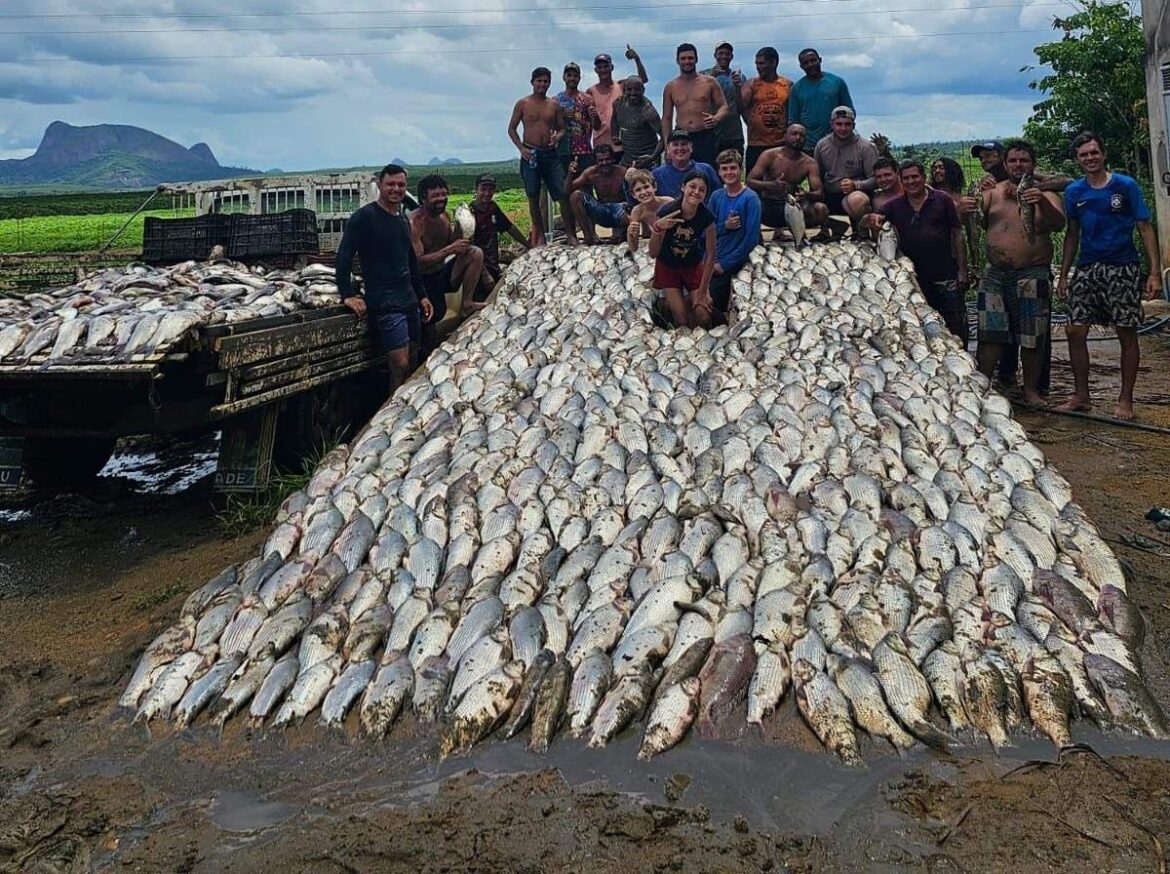Atos de Solidariedade: Casal Doa 3 Toneladas de Peixes para Comunidade em Nova Venécia