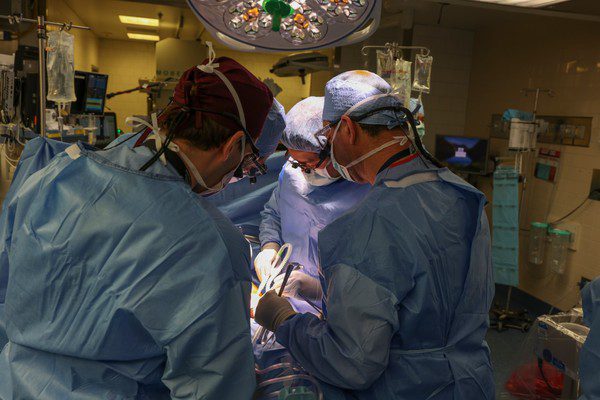 Médico Brasileiro Realiza o Primeiro Transplante de Rim de Porco em Humano nos EUA