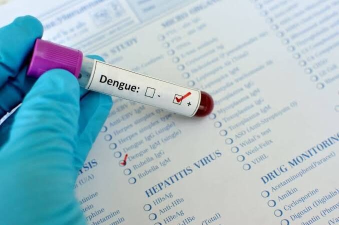 Alerta: Dengue atinge marca alarmante de 2 milhões de casos prováveis em apenas 81 dias no Brasil