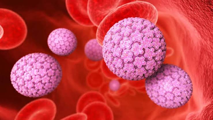 Prevenção do câncer inguinal: importância da higiene e da vacinação contra HPV