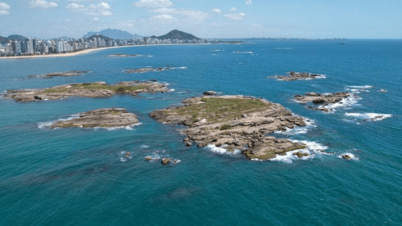 Ilhas Itatiaia fechadas para preservação das aves durante período de reprodução