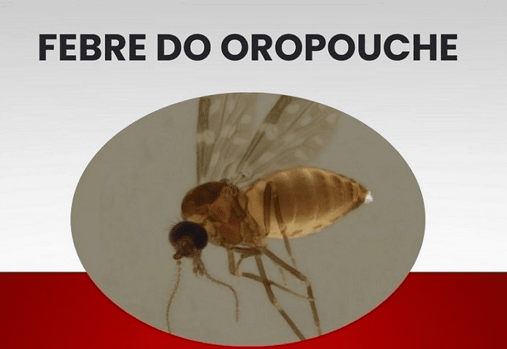 Alerta de saúde: Febre do Oropouche identificada no Espírito Santo pelo Lacen